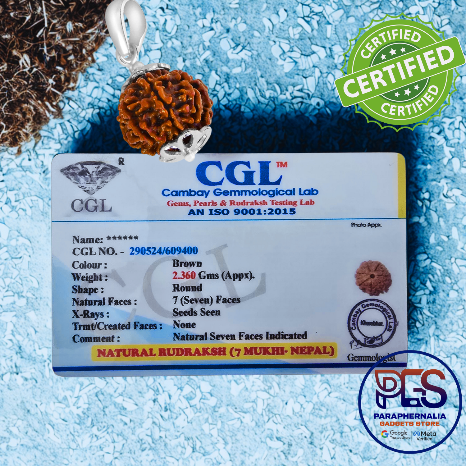 7 Mukhi 100% Natural Nepali Rudraksha - (Authentic with Certificate)