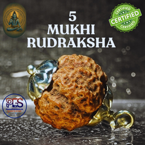 Paanch Mukhi 100% Natural Nepali Rudraksha (Authentic with License)